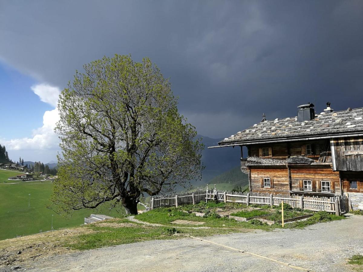 Appartements Alpenblick Soell Exterior foto
